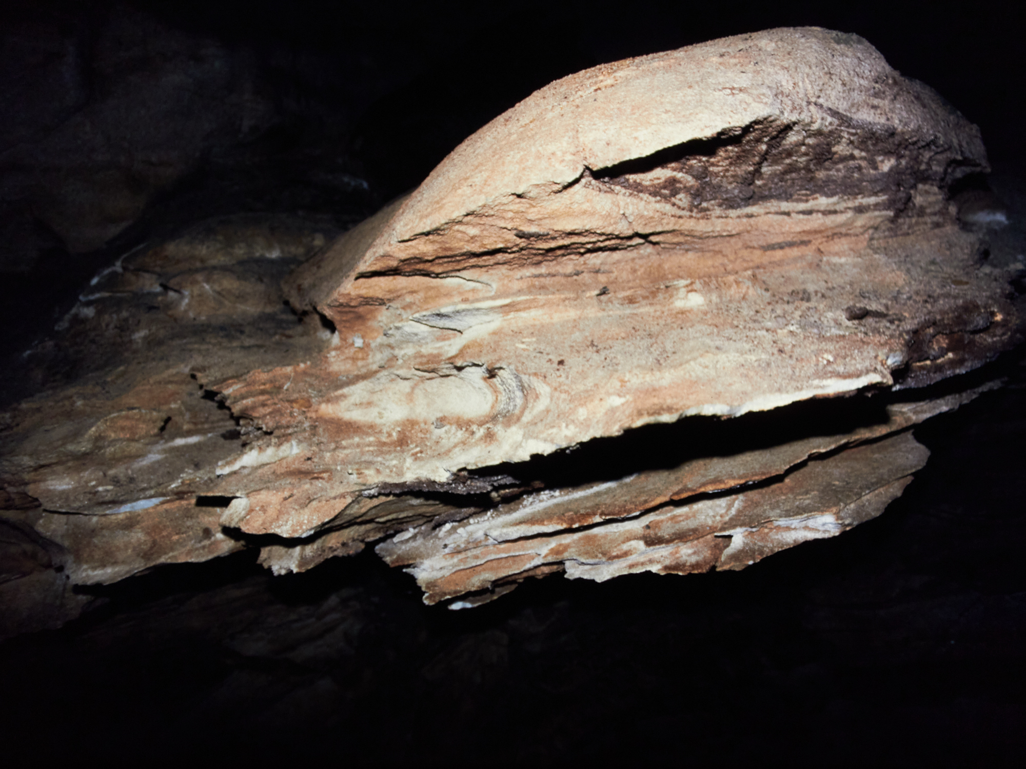 Grønligrotte