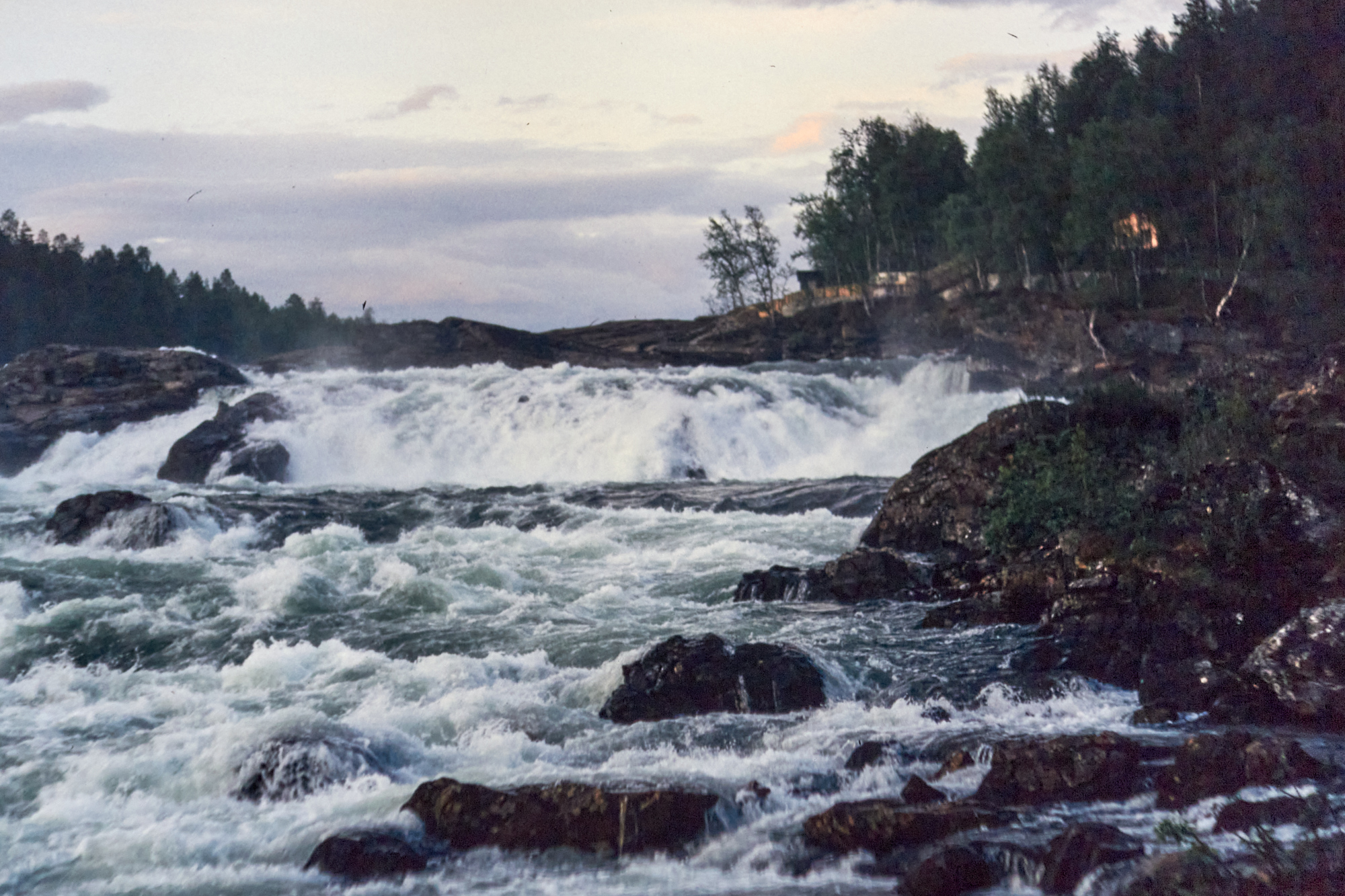 Målselvfossen