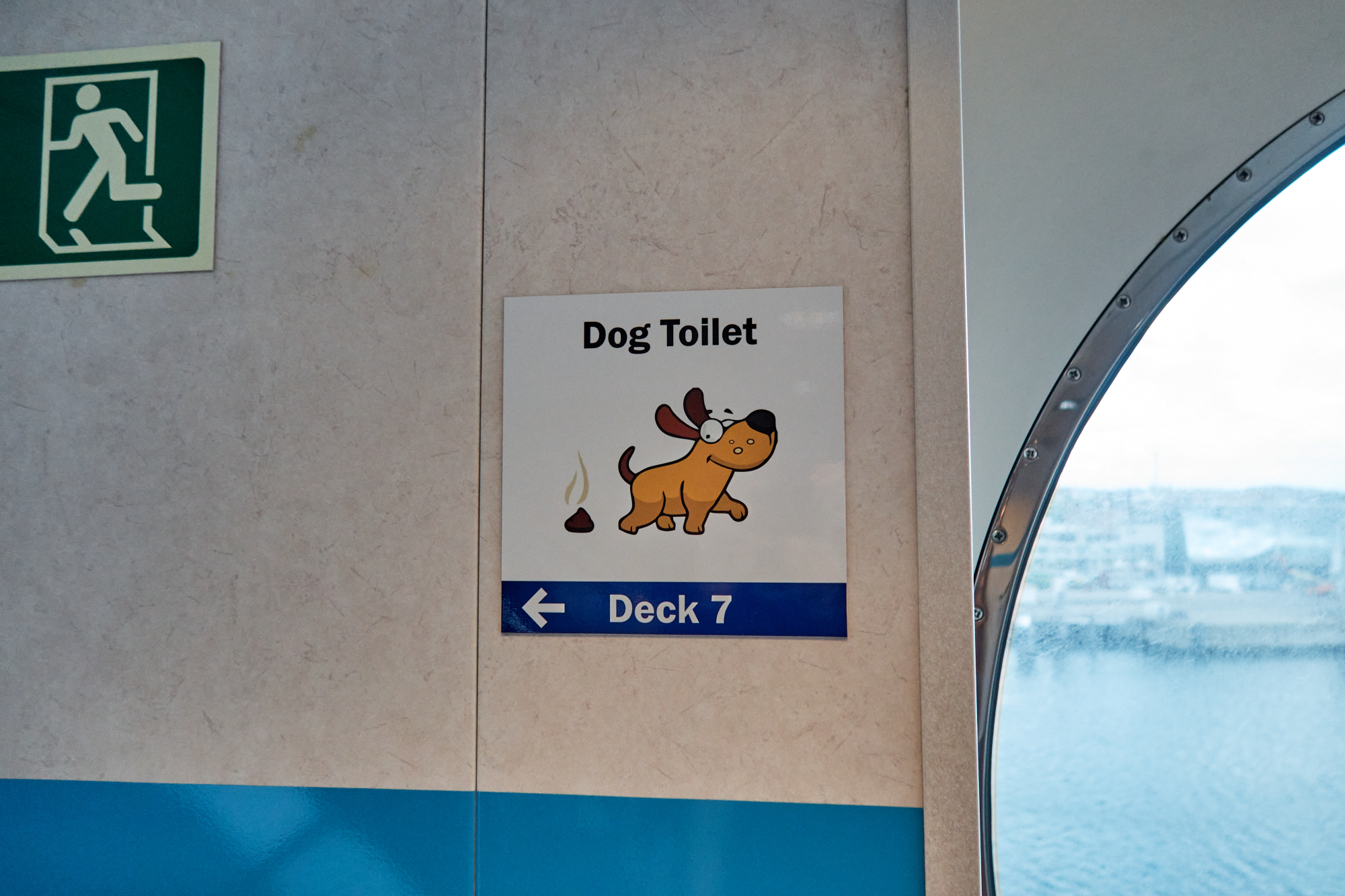 … und für die Vierbeiner