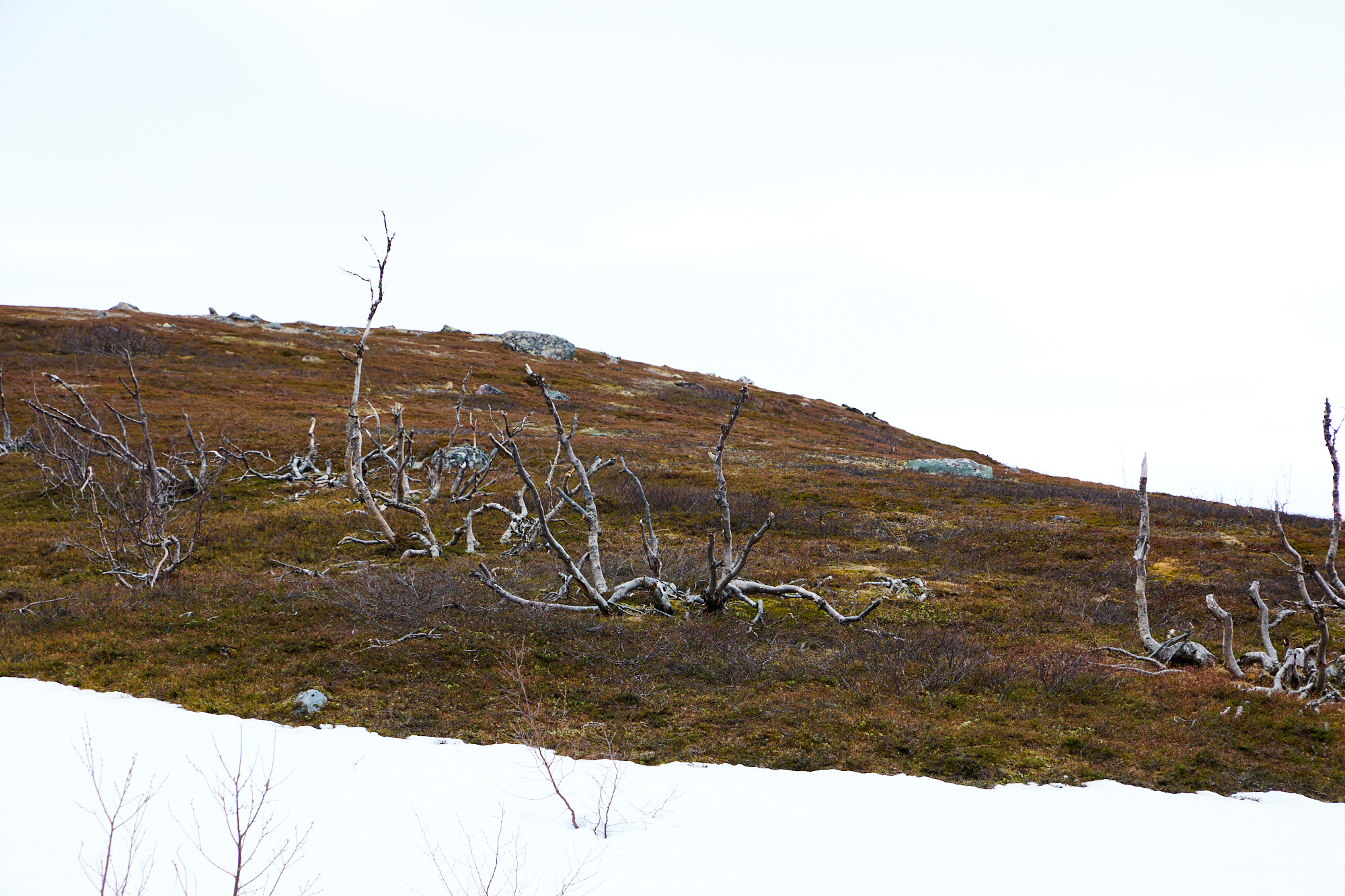 Ab nach Kirkenes, …