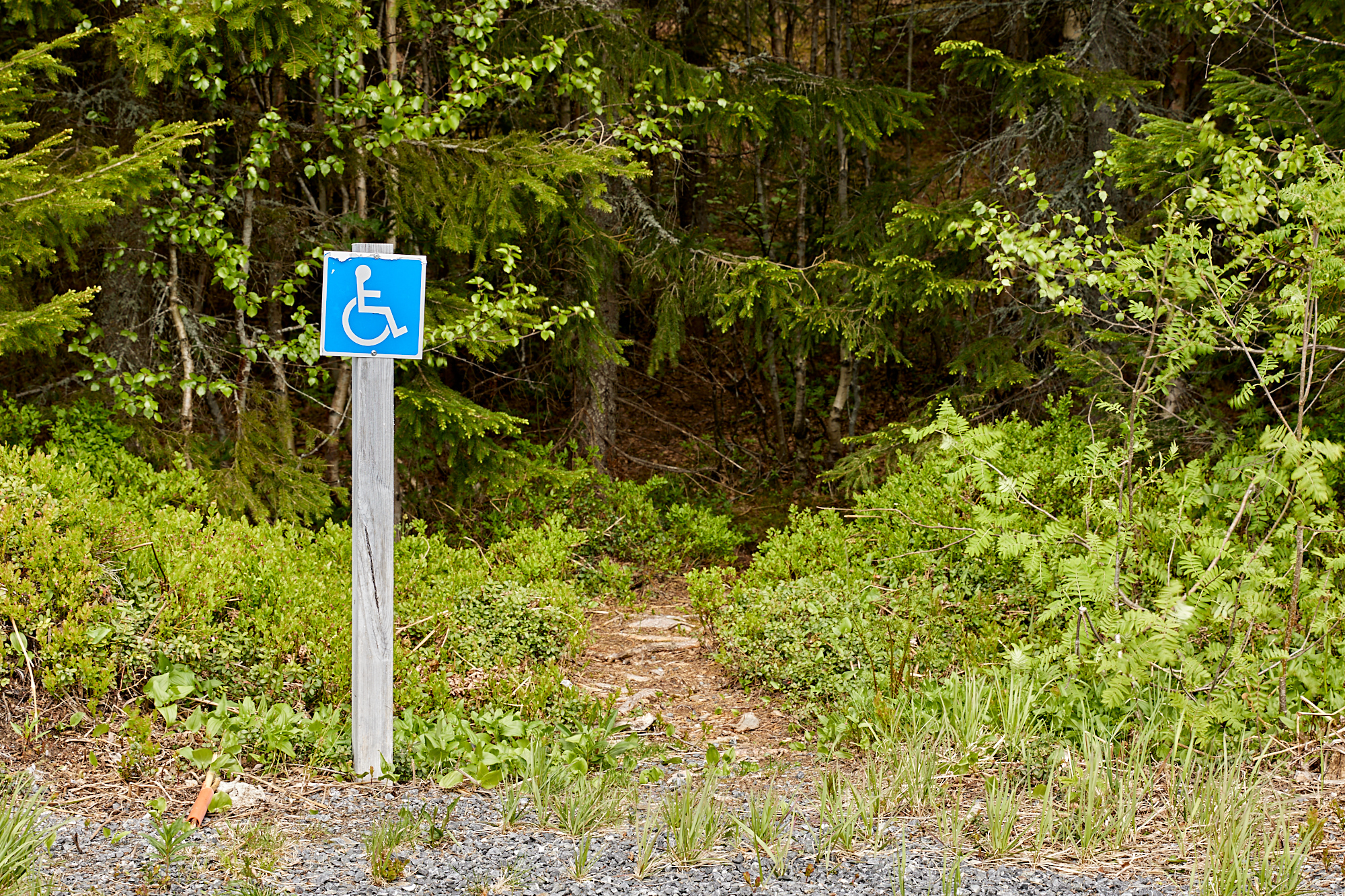 Upps, barrierefrei geht anders. Nee, der Weg Rollipfad ist woanders