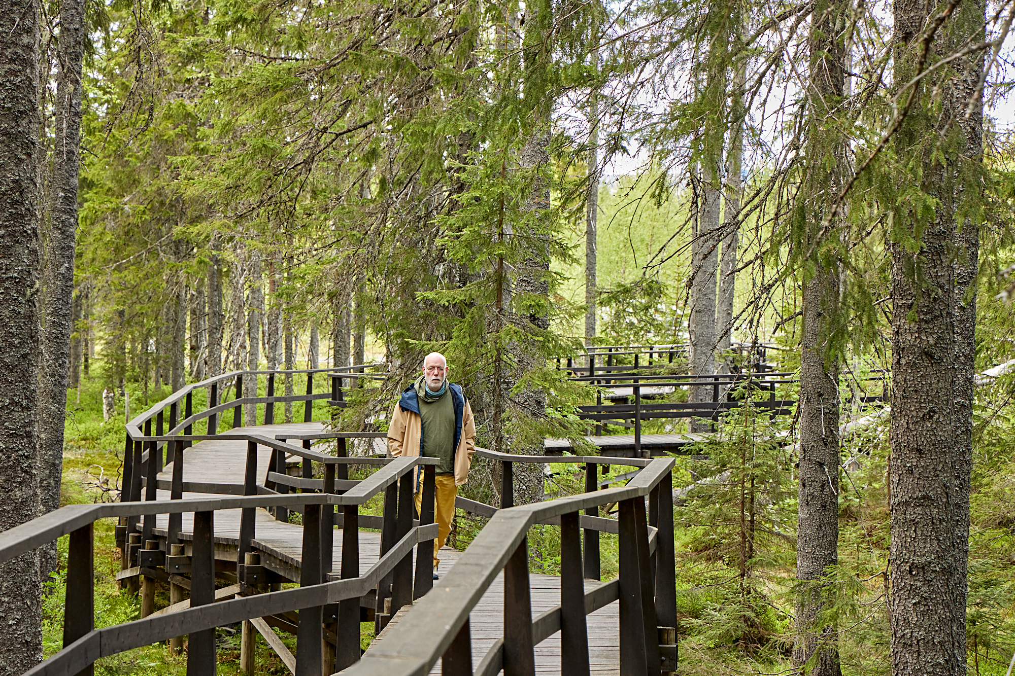 Rollipfad im Nationalpark