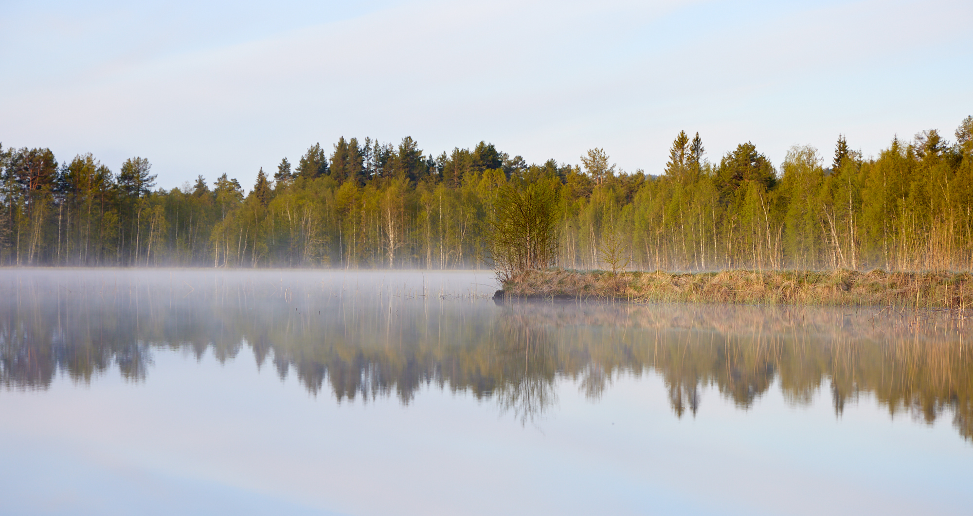 Morgens 8:00 in Schweden
