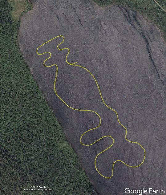 Tracks 2019